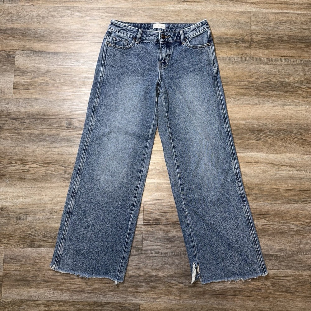Pacsun Casey Low Rise Baggy Jeans Womens 24 Medium Wash Blue Wide-Leg Frayed